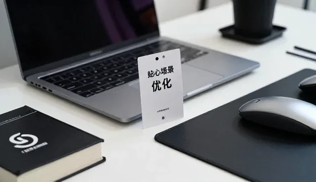 应用开发选型中的关键因素与应对策略